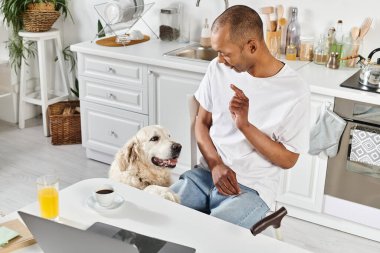 An African American man with a disability and his Labrador retriever enjoying a moment together in a cozy kitchen setting. clipart