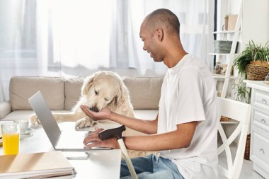Engelli bir Afrikalı Amerikalı elinde dizüstü bilgisayarla oturmuş sadık Labrador köpeğiyle birlikte çalışıyor..