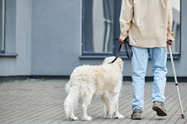 Engelli bir Afrikalı Amerikalı, Labrador köpeğini tasmayla gezdiriyor, çeşitliliği ve dahil edilmeyi teşvik ediyor..