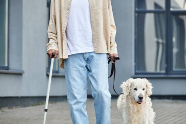 Engelli bir Afrikalı Amerikalı, Labrador köpeğini tasmayla gezdiriyor, çeşitliliği ve dahil edilmeyi teşvik ediyor..