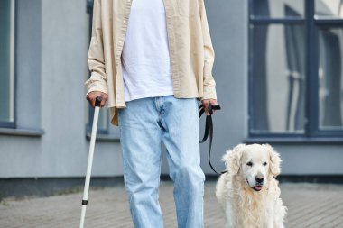 A disabled African American man walks a Labrador dog on a leash, promoting diversity and inclusion. clipart