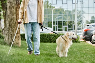 Engelli bir Afrikalı Amerikalı, Labrador köpeğini çeşitli bir toplulukta gezdiriyor..