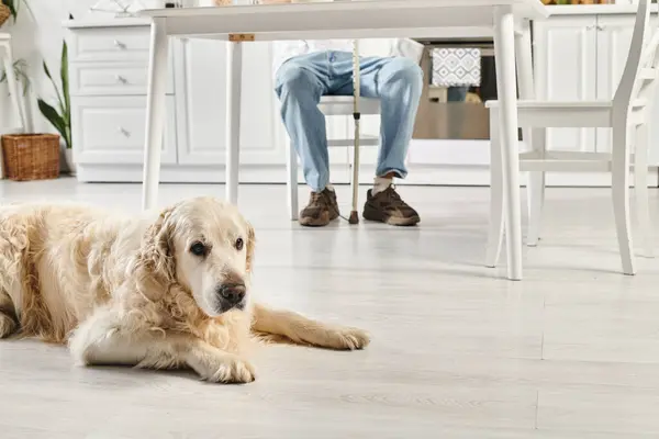 障害のあるアフリカ系アメリカ人男性がテーブルに座り 忠実なラブラドール犬が平和的に彼の隣の床に横たわっています — ストック写真