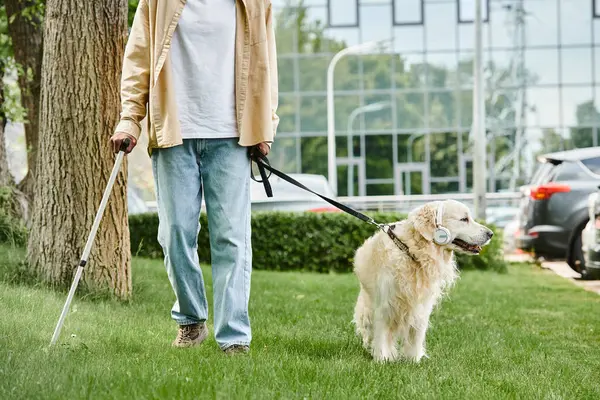 Disabled African American Man Walking His Labrador Dog Diverse Community — Stock Photo, Image