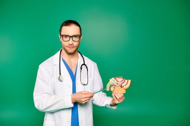 Male doctor in white robe holding model of human body. clipart