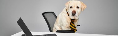 Kravat takan bir köpek stüdyo ortamında bir bilgisayarın önünde oturmuş, evcil hayvan kavramını somutlaştırıyor..