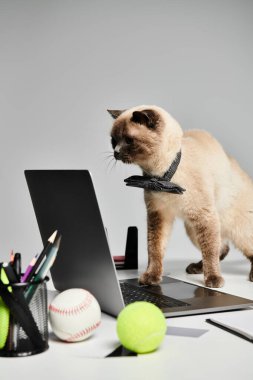 Bir kedi özgüvenle dizüstü bilgisayarın başında duruyor, çalışma alanını denetliyor..