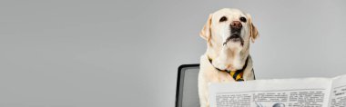 Bir köpek, bir gazetenin yanındaki bilgisayar masasında oturuyor, dünyayı merakla ve arkadaşlıkla izliyor..
