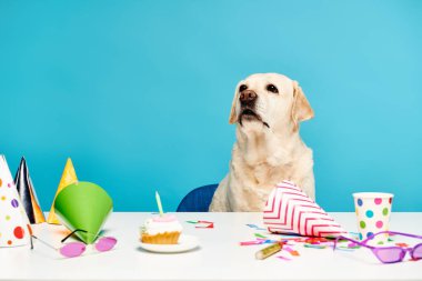 Parti şapkalarıyla süslü bir masada oturan tüylü bir köpek. Lezzetli bir kekin yanında, kutlamaya hazır bekliyor..