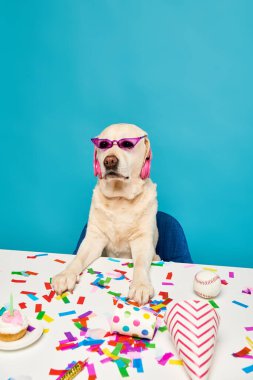 Güneş gözlüğü takan bir köpek konfeti ve çöreklerle çevrili bir masada oturur..