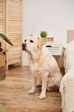 A dog relaxes on the floor while donning a festive party hat, exuding a playful and celebratory vibe. clipart
