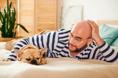 Gözlüklü bir adam, Fransız bir bulldog 'un yanında bir yatakta uzanıyor..