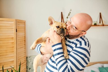 Gözlüklü yakışıklı bir adam kucağında küçük bir Fransız Bulldog 'u tutuyor..