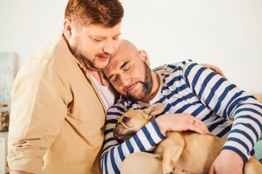 Bir adam kollarında küçük bir Fransız Bulldog 'unu kucaklıyor, şefkat ve ilgi gösteriyor..