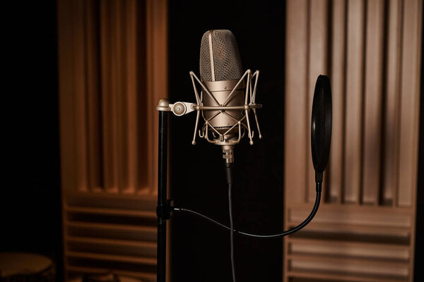 A microphone stands tall in a recording studio, ready to capture the soulful tunes of a music band during a rehearsal.