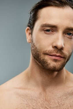 Handsome shirtless man with a beard striking a pose on a grey background in a studio setting. clipart
