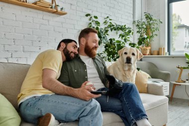 İki adam, eşcinsel bir çift, kanepede oturup Labrador köpekleri ile rahat bir oturma odasında maç izliyorlar..