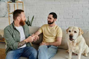 Sakallı iki adam, Labrador köpeklerinin yanındaki koltukta oturuyor. Oturma odasında, evlenme teklifi ediyorlar.