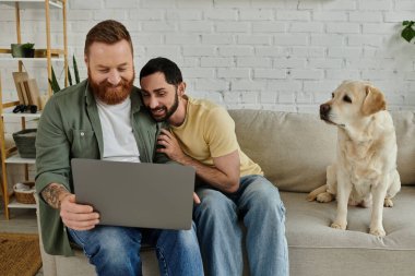 Sakallı bir adam ve labrador köpeği kanepede oturuyor, rahat bir oturma odasında dizüstü bilgisayarla çalışıyorlar..