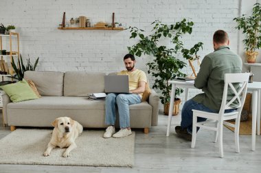 Sakallı bir adam rahat bir oturma odasında rahat bir labrador köpeğinin yanındaki koltukta otururken dizüstü bilgisayarda çalışır..