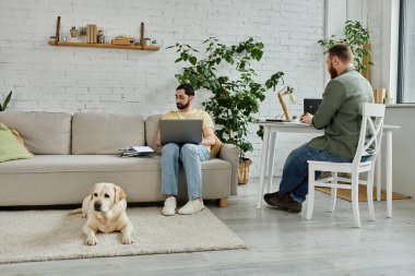 Sakallı eşcinsel adam koltukta dizüstü bilgisayarla oturur, rahat oturma odasında Labrador Dog 'un yanında çalışır..