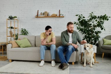İki adam, sakallı eşcinsel bir çift, rahat bir oturma odasında Labrador köpeklerinin yanında bir kanepede dinleniyorlar..