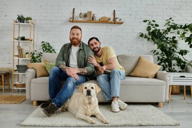 İki sakallı adam kanepede oturup Labrador 'larıyla rahat bir oturma odasında güzel vakit geçiriyorlar..