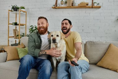 Sakallı eşcinsel bir çift kanepede oturup sıcak ve rahat bir oturma odasında mutlu labradorlarını kucaklıyor..