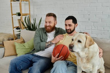 Sakallı eşcinsel çift kanepede Labrador köpekleri ve basketbol topuyla eğleniyor..