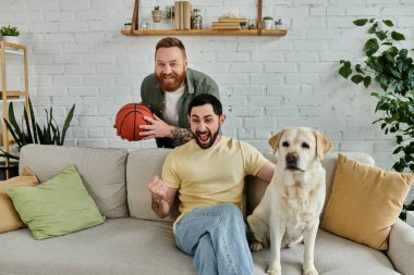 Sakallı adam ve partneri oturma odasında labradorlarıyla eğleniyor..