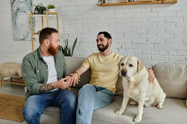 İki sakallı adam, eşcinsel bir çift, bir kanepede labrador köpeğiyle rahat bir oturma odasında evlilik teklifi yapıyorlar.