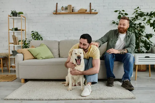 Sakallı iki adam kanepede oturmuş, keyifli Labrador köpekleriyle hoş vakit geçiriyorlar..