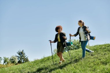 İki genç kadın, lezbiyen bir çift, vahşi doğada güneşli bir günde birlikte yürüyüş yapıyorlar. İkisi de gülümsüyor ve birbirlerine eşlik etmekten zevk alıyorlar..