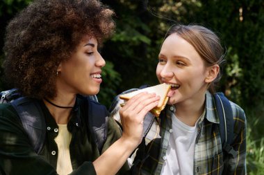 İki genç kadın, lezbiyen bir çift, doğa gezisinde bir sandviçi paylaşıyorlar, açık havada eğleniyorlar..