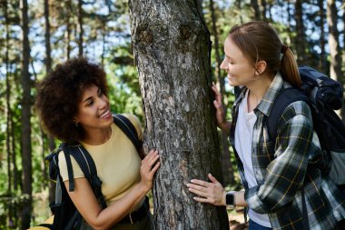 A young lesbian couple hikes and enjoys each others company in a lush forest setting. clipart