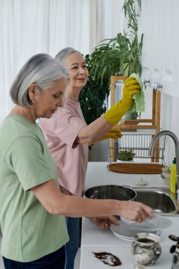 İki olgun kadın, lezbiyen bir çift, modern mutfaklarını birlikte temizliyorlar. Bir kadın bulaşıkları yıkarken diğeri dolapları temizliyor..