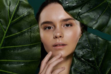 A womans face is framed by large, dewy green leaves. clipart