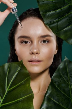Büyük yeşil yapraklarla çevrili bir kadın yüzüne serum sürer..