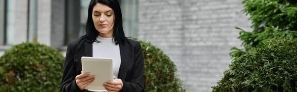 stock image A woman in a wheelchair reads a tablet outdoors.