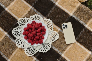 a sunlit picnic, surrounded by nature and indulging in fresh raspberries. clipart