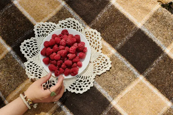 Yaz pikniği, güneşin altında lezzetli ahududular..