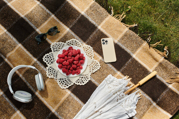 одеяло окружено свежими ягодами и природой.