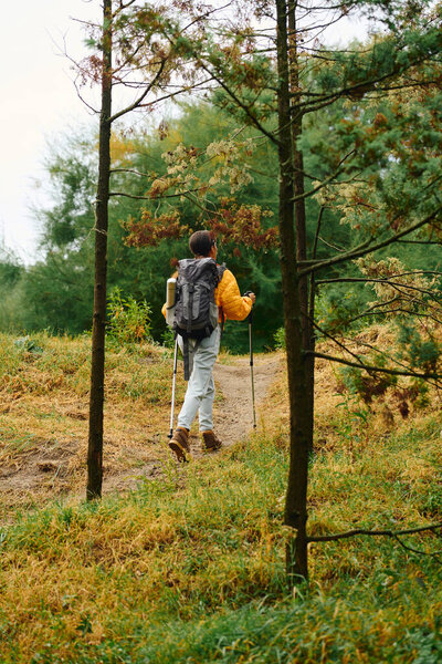 A young woman hikes through vibrant autumn foliage, embraced by the tranquility of the forest.