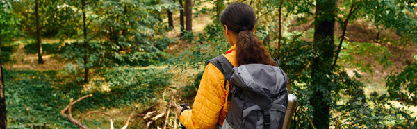 A young woman explores the beauty of a forest in autumn, immersed in nature and adventure.