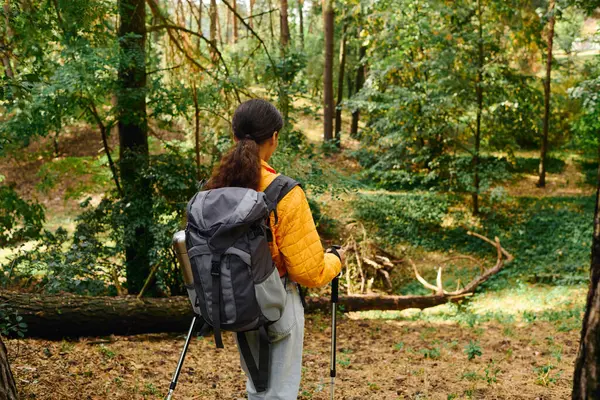 stock image A young African American woman hikes through a colorful autumn forest, embracing the beauty of nature.