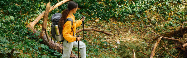 A young African American woman enjoys an adventurous hike through the colorful autumn forest.