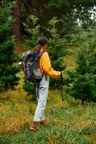 A young woman explores the colorful autumn forest while hiking, surrounded by lush greenery and falling leaves.