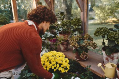 A young and attractive man carefully arranges a bouquet of bright yellow flowers in a serene greenhouse. Rays of sunlight filter through the glass, illuminating the greenery. clipart