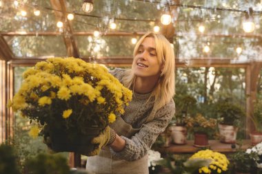 In a warmly lit greenhouse, a young and handsome man lovingly cradles a pot of bright yellow flowers. clipart