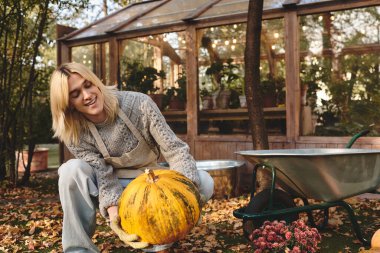 Amidst the colorful foliage, a young and handsome man revels in the joy of gardening, lifting a large pumpkin with a smile. Surrounding plants and a cozy greenhouse create a serene atmosphere. clipart